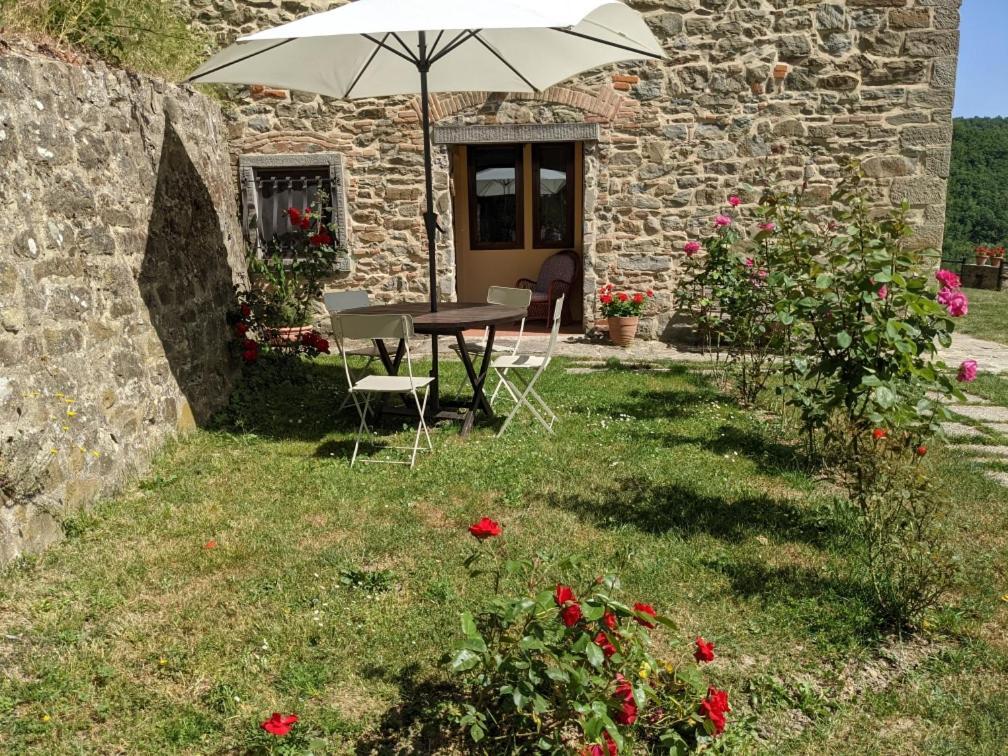 Agriturismo Casentino - Fattoria Ventrina Martina Exterior photo