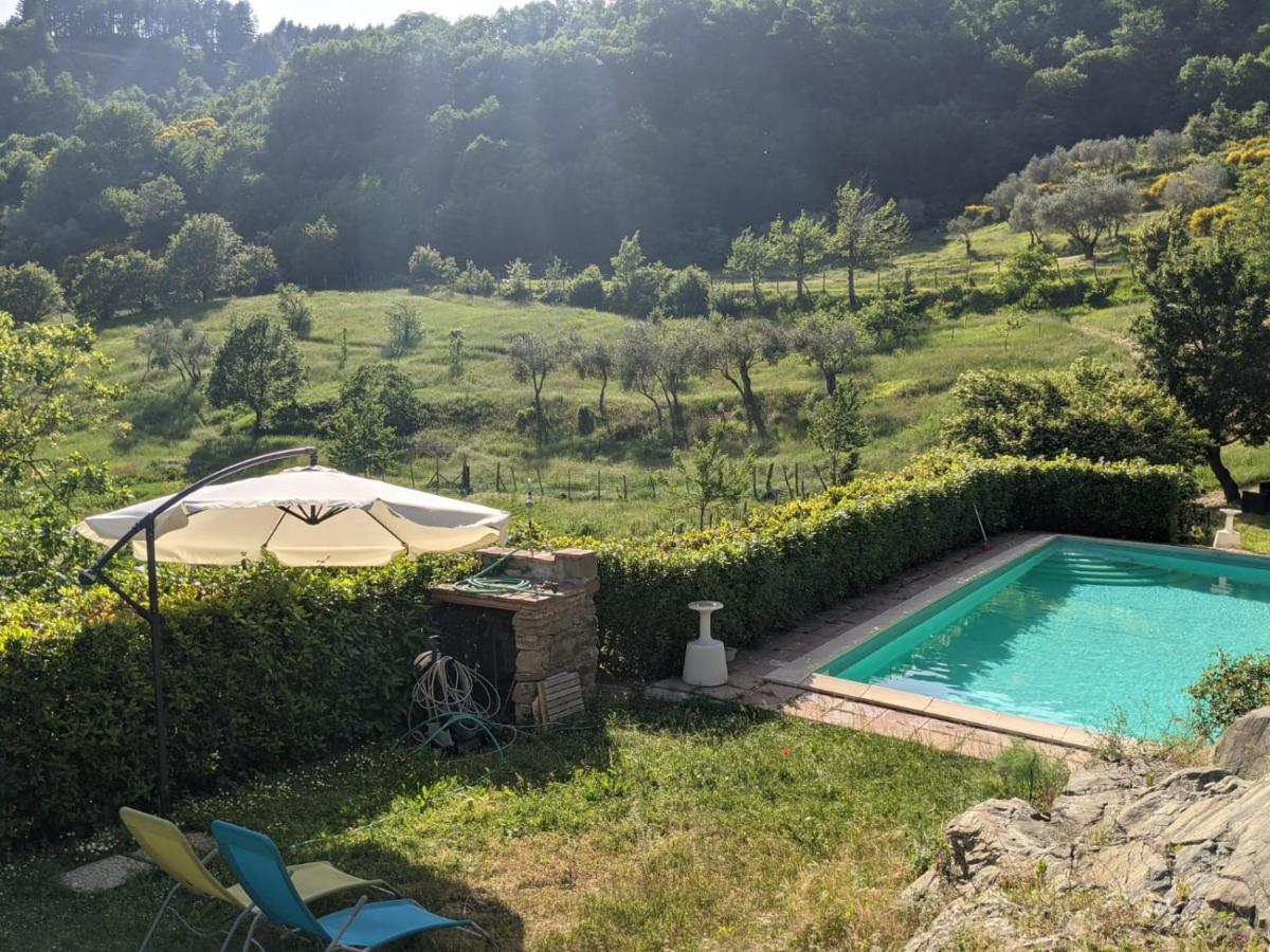 Agriturismo Casentino - Fattoria Ventrina Martina Exterior photo