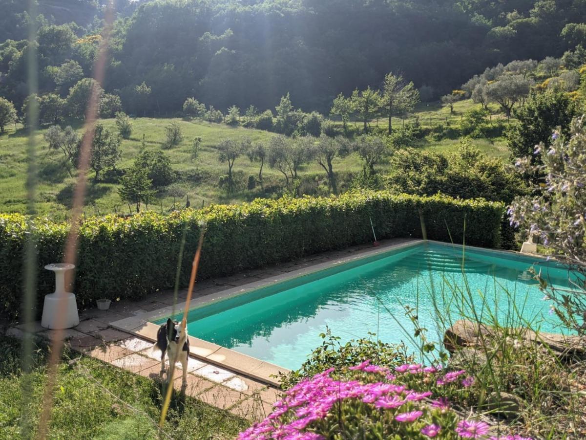Agriturismo Casentino - Fattoria Ventrina Martina Exterior photo